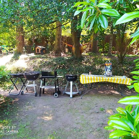 Buguggiate "La Selvetta" Bed And Breakfast מראה חיצוני תמונה