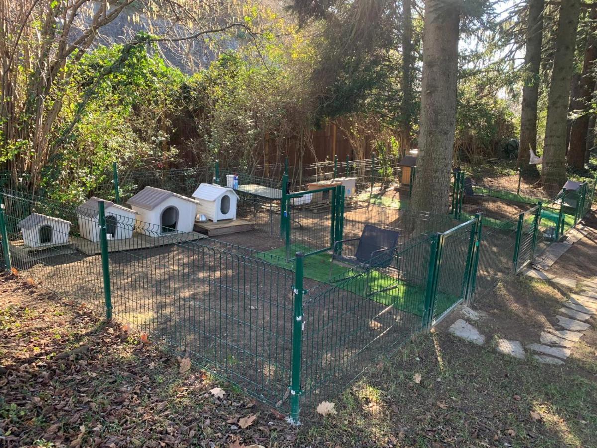 Buguggiate "La Selvetta" Bed And Breakfast מראה חיצוני תמונה